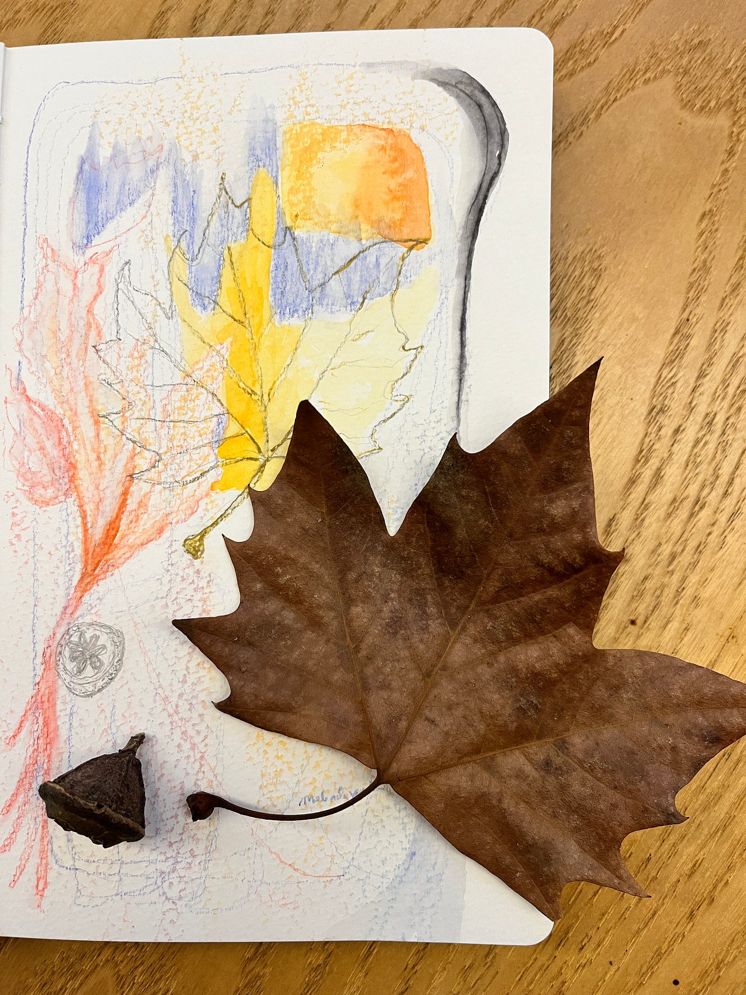 image: a whimsical abstract art with mixed media, it has cosy autumn colours, with a pencilled leaf and eucalyptus seed drawn on it, the actual eucalyptus seed and the dried oak leaf are laid on top of the sketch book