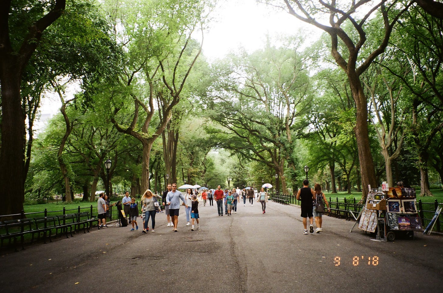 Film photography of New York City top free things to do in NYC by food and travel writer Courtney Jill Bishop. 