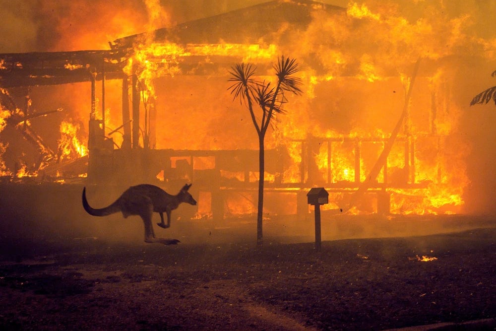 A kangaroo hops by a fiery structure during Australia's Black Summer of 2019-2020.