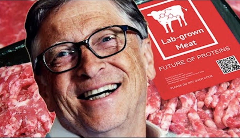 Fake Food, Technocracy & Population Control: Behind Bill Gates' Farmland  Grab | by Logan Hailey | Medium