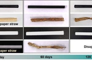 Conventional plastic straws and corn plastic straws did not decompose after 120 days under marine conditions. They have preserved their shape and lost only 5% of their total weight. In the meantime, eco-friendly straws developed by the research team lost more than 50% of their weight after 60 days and decomposed completely after 120 days.