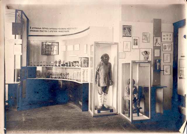Photo of the exhibit at the State Museum in Moscow as sent to Raymond Dart Photo of the exhibit at the State Museum in Moscow as sent to Raymond Dart