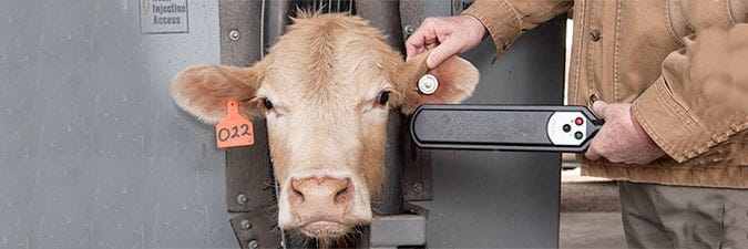 Groups comment on APHIS proposal to require electronic tags | TSLN.com