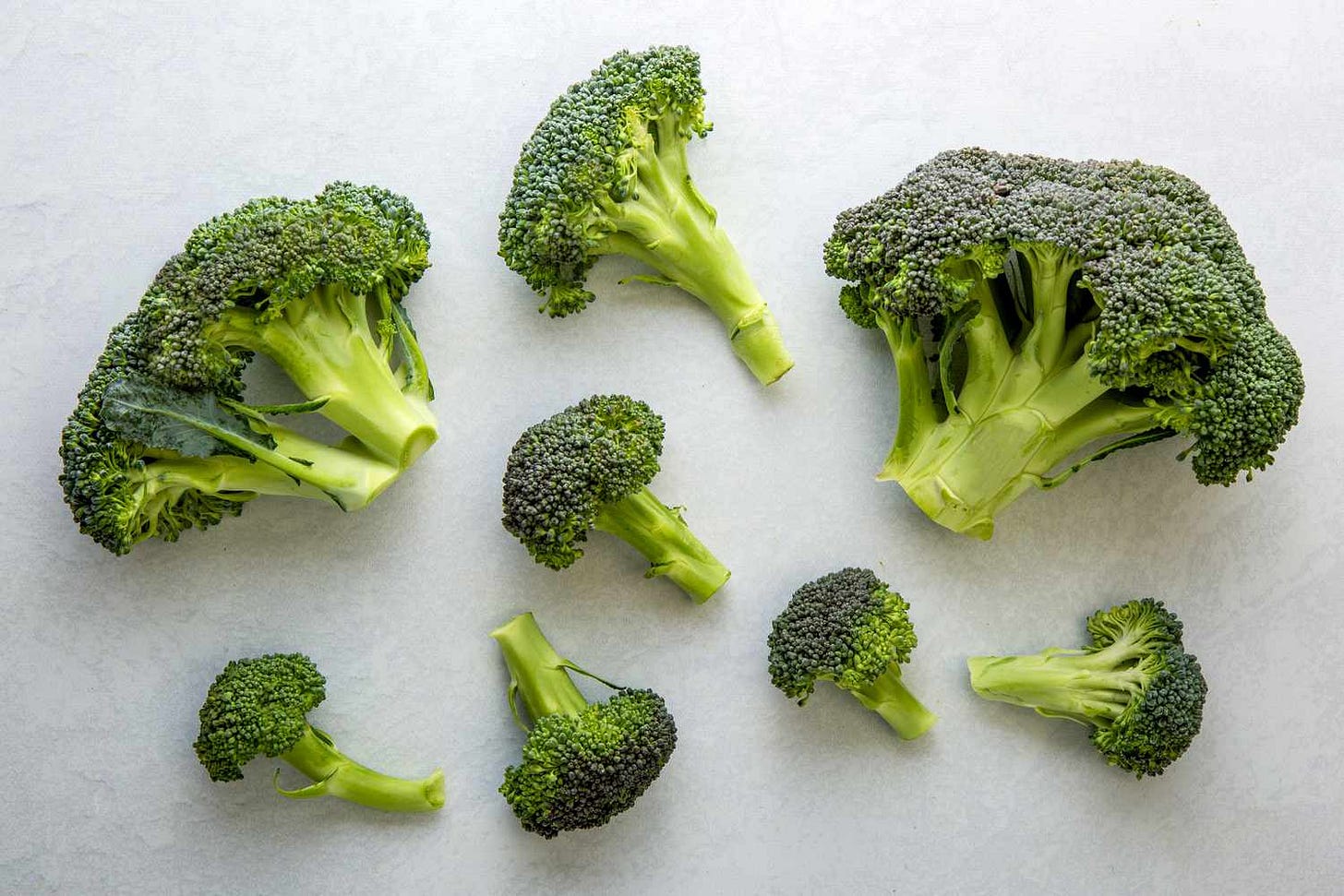 What Is Broccoli?