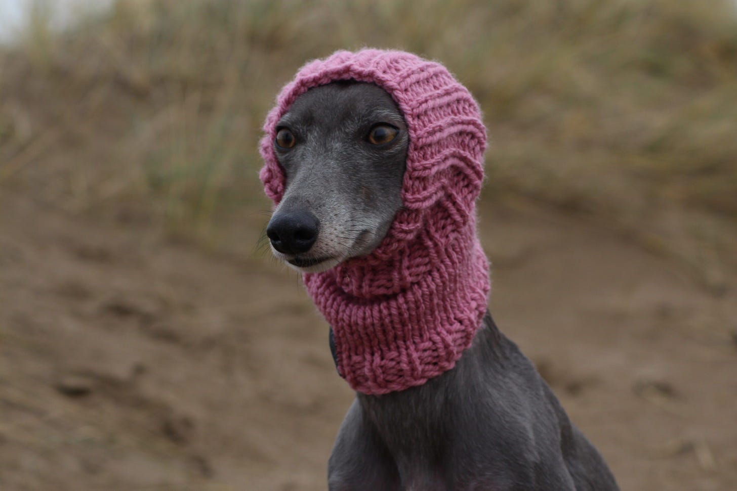 Dusky Rose Whippet Greyhound Knit Neck Warmer | Italian Lurcher
