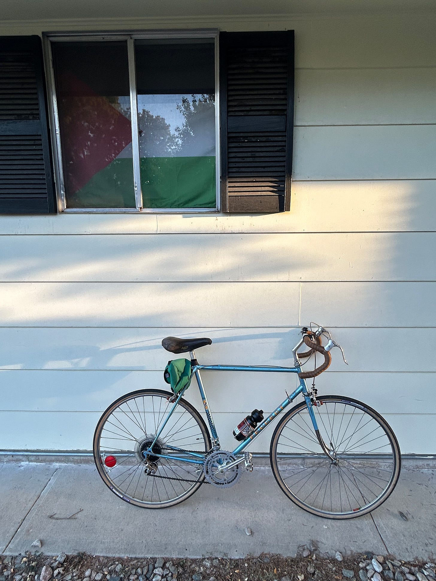 A photo of a blue Peugeot bike leaned up against a house, with a window above, palestinian flag in the window.