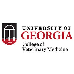 Georgia Medium Decal UGA - College of Veterinary Medicine - ONLINE ONLY