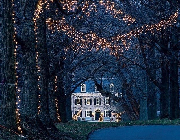 This may contain: a house with christmas lights hanging from it's trees