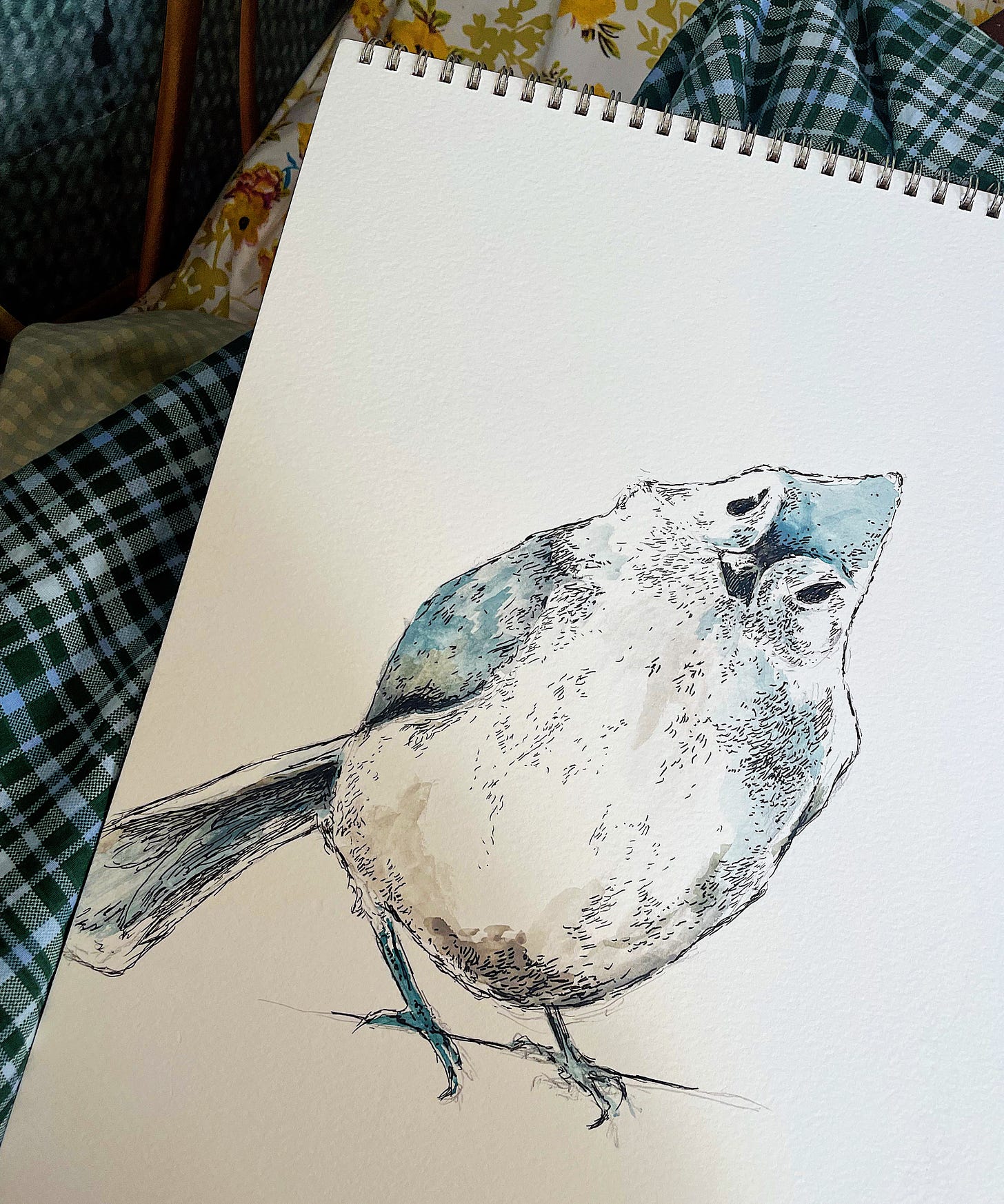 a painting of a tufted titmouse in watercolor on white paper