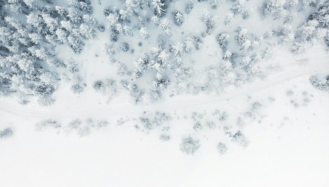aerial photo of snow covered tree lot aerial photo of snow covered tree lot