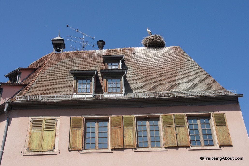 Storks are good luck in Europe and we saw nests like this all over.