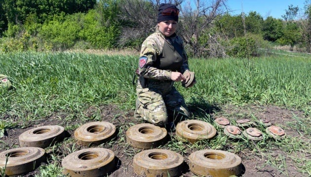 На розмінованій жіночими руками землі росте соняшник