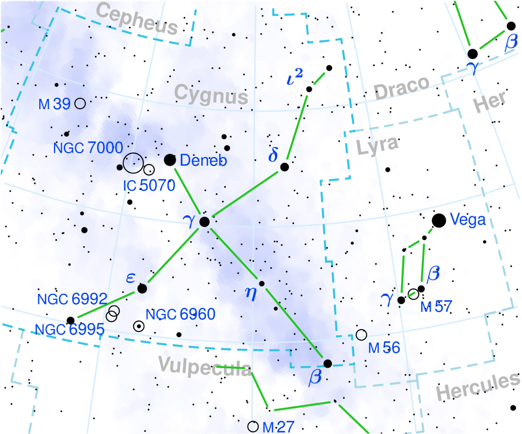 1200px-Cygnus_constellation_map.svg.png