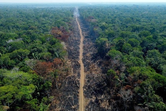 Part of Brazil’s deforested BR-230 highway is seen from above.