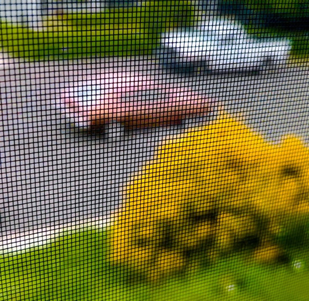 blurry pic of a Ford Pinto, obscured by a window screen.