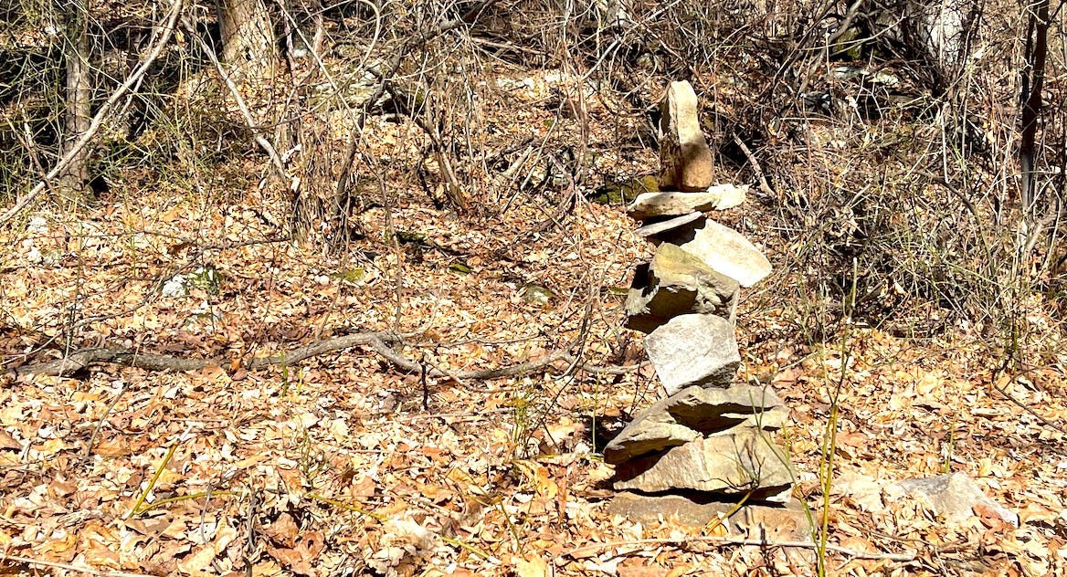 a stack of carefully piled rocks in the woods with lots of leaves around them