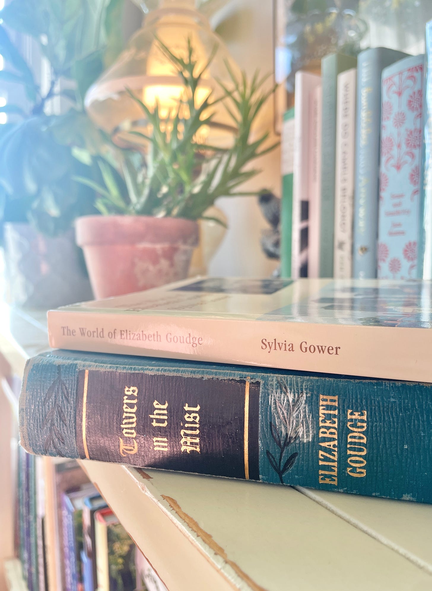 Towers in the Mist by Elizabeth Goudge and The World of Elizabeth Goudge by Sylvia Gower on my office bookshelf.