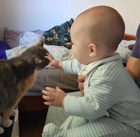 baby in stripped pajamas pets the head of a gray and white tabby