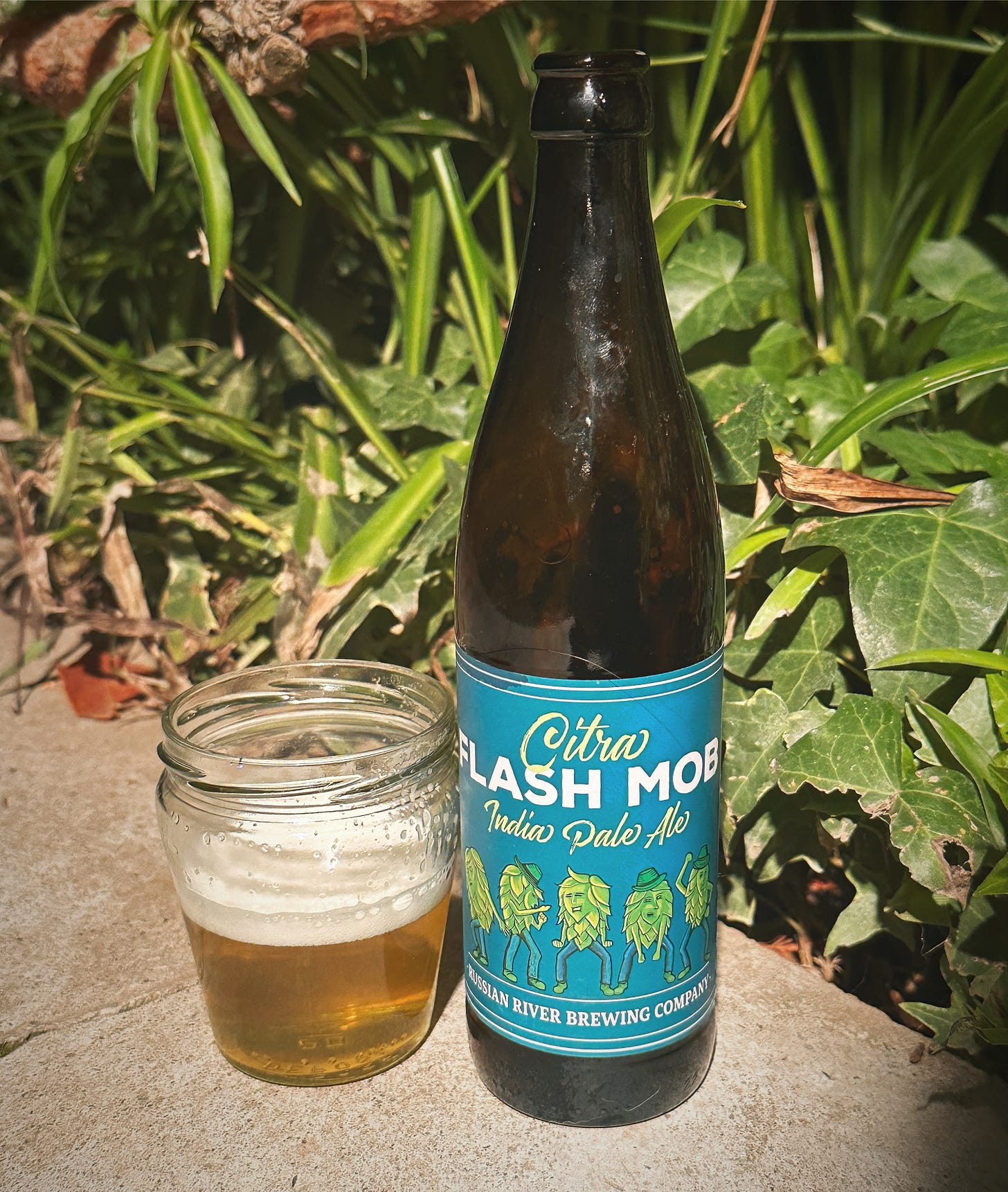 A glass full of Citra Flash Mob IPA next to the bottle. Plants in the background of the picture.