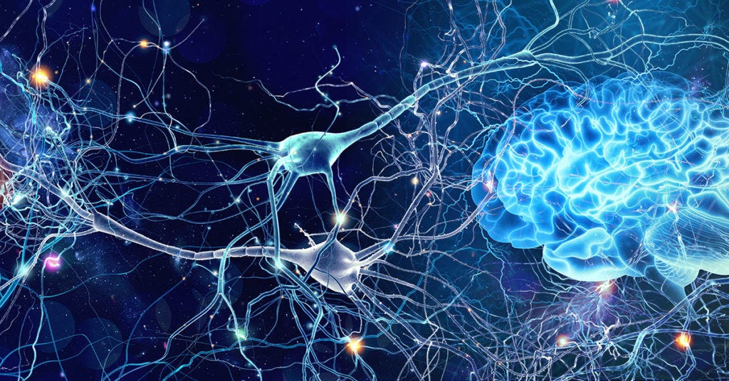 Neuroplasticity and the Law of Attraction | Mindfulness Corner