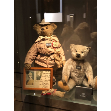A stuffed teddy bears in a glass case

Description automatically generated