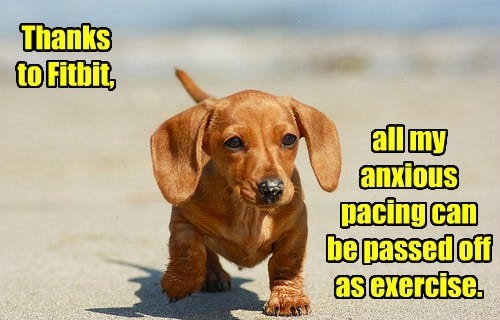 A photo of a small brown dachshund puppy walking on a beach. The text reads, 'Thanks to Fitbit, all my anxious pacing can be passed off as exercise.