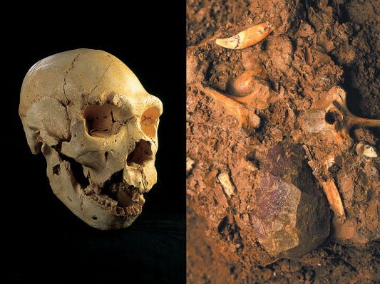 The Sima de los Huesos (Burgos, northern Spain): palaeoenvironment and  habitats of Homo heidelbergensis during the Middle Pleistocene -  ScienceDirect