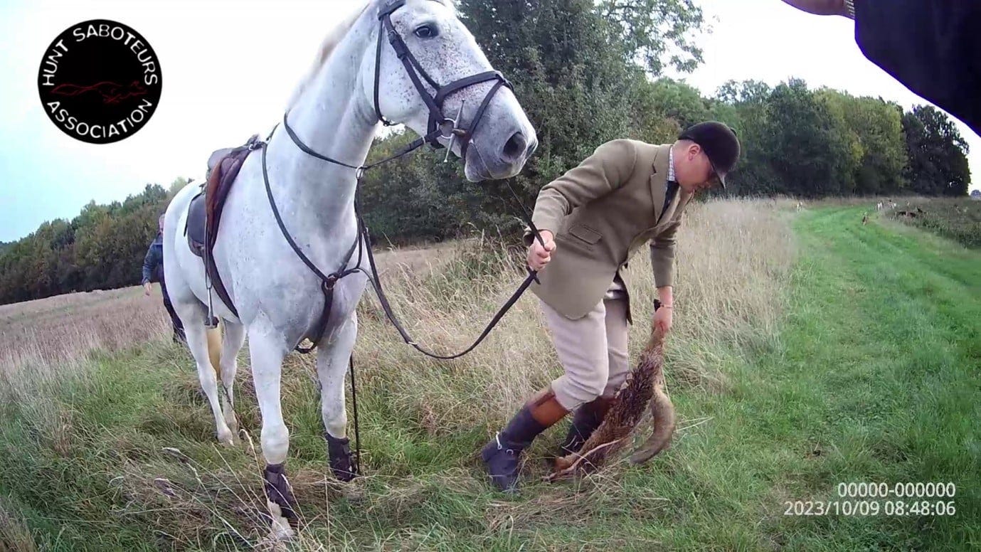 Halsall picks up the dead fox - photo via Three Counties Hunt Saboteurs, West Midlands Hunt Saboteurs and the Hunt Saboteurs Association