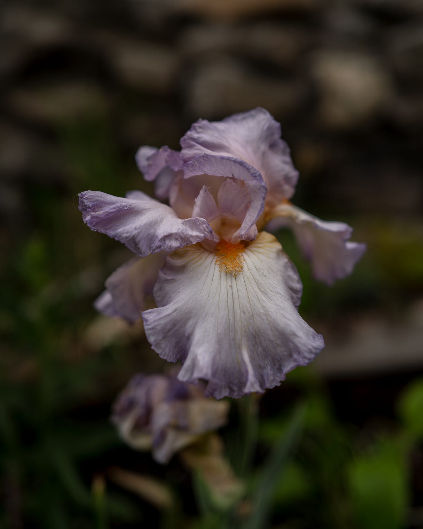 Cottage garden | The Elliott Homestead (.com)