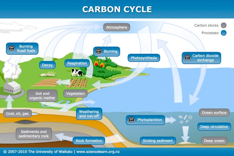 Carbon cycle — Science Learning Hub