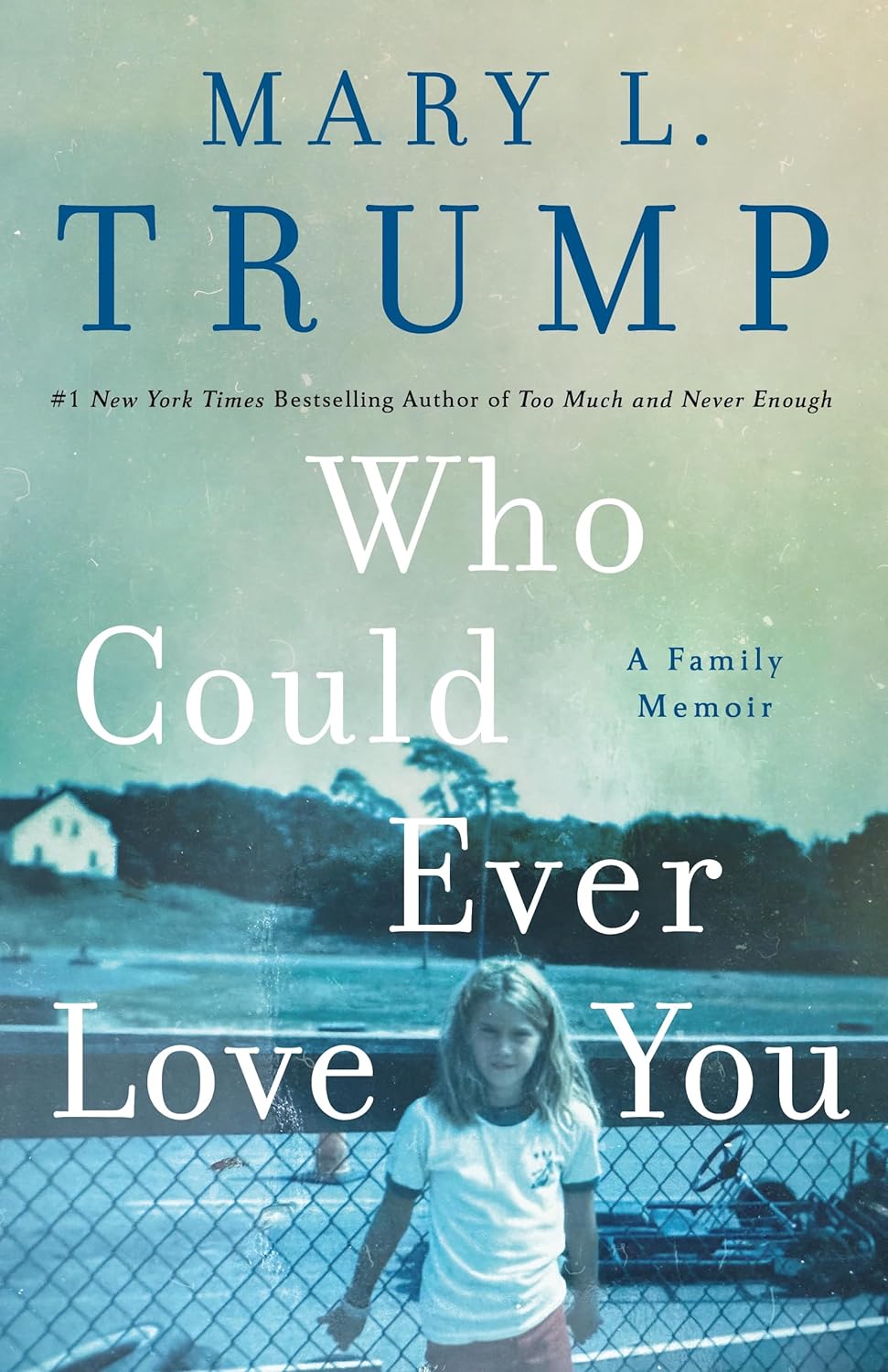 Book cover for my Who Could Ever Love You review