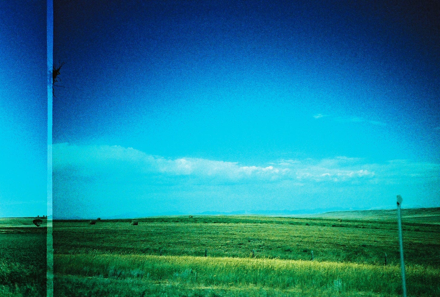 A cross-processed photo of bright green grass beneath a bright blue sky.