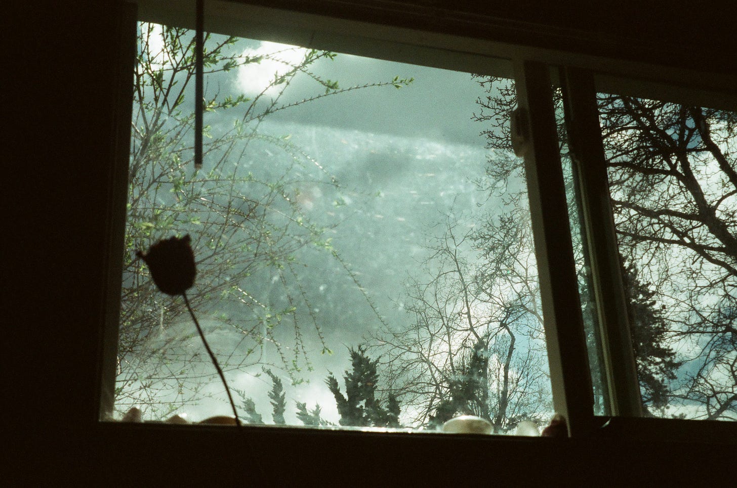 View from the poet's window on 35mm film.