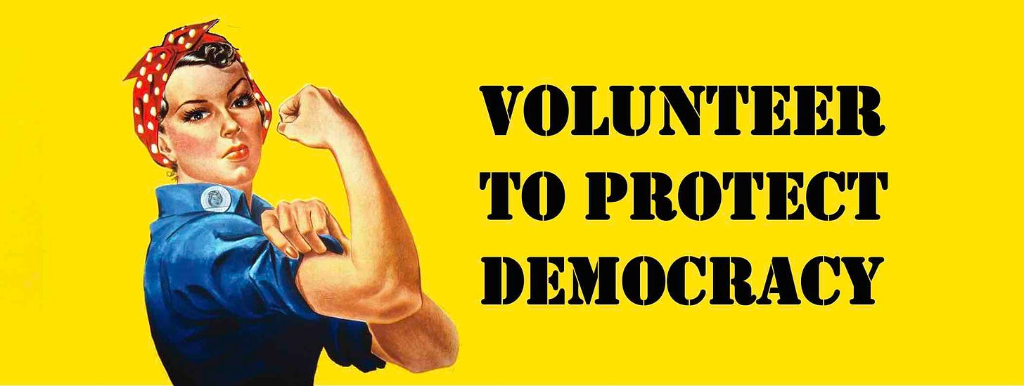 Volunteer to Protect Democracy