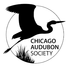 Chicago Audubon Society | Chicago IL