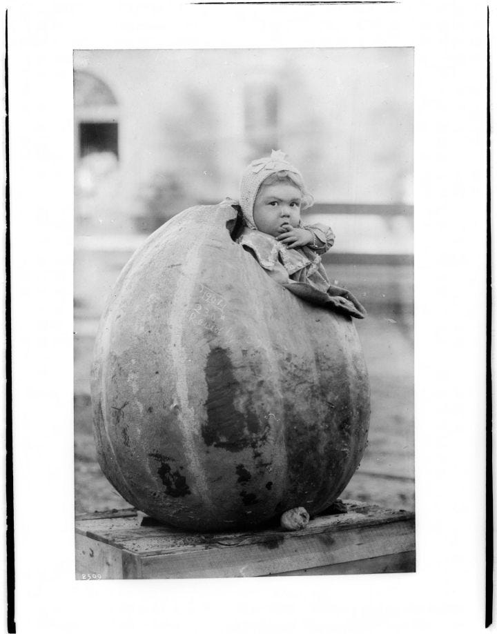 Halloween-Little_girl_standing_inside_large_pumpkin_CHS-2509-3