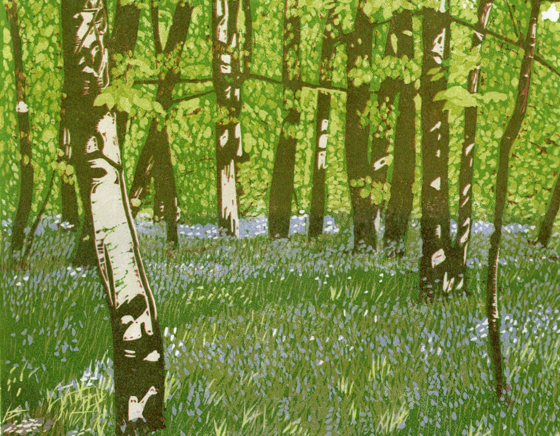 detail from a linoprint depictiing woodland with bluebells