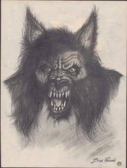 A drawing of a wolf

Description automatically generated