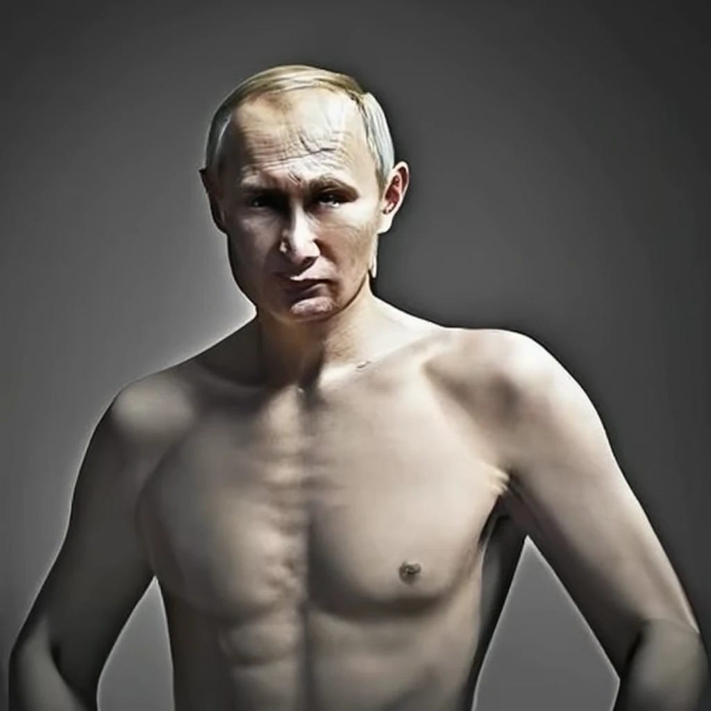 Vladamir Putin shirtless riding a white horse