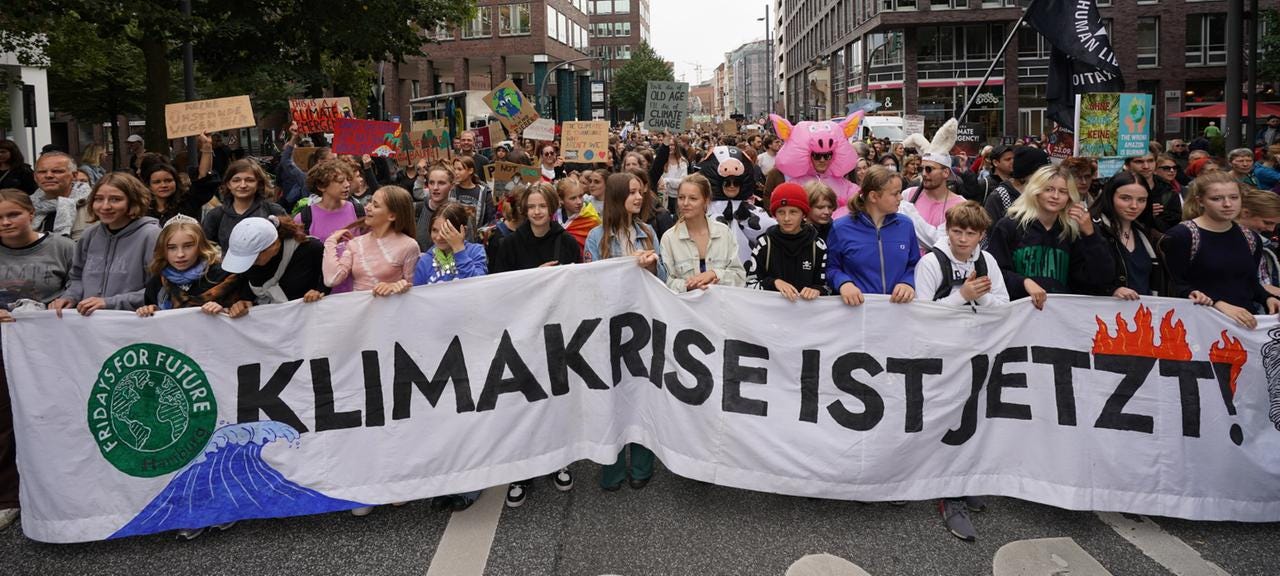 Demonstration von Fridays for Future in Hamburg (Archivbild)