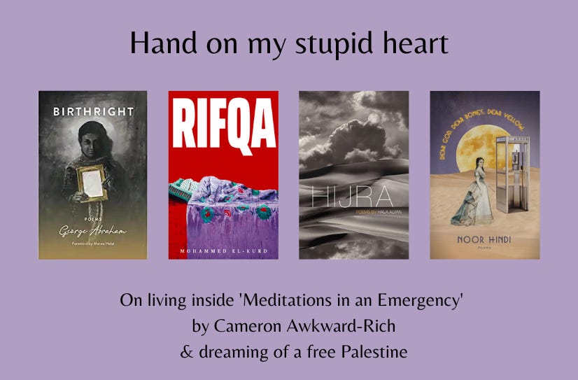The text ‘Hand on my stupid heart’ appears above small cover images of four poetry collections by Palestinian authors: Birthright, Rifqa, Hijra, and Dear God. Dear Bones. Dear Yellow. Text below reads: On living inside 'Meditations in an Emergency' by Cameron Awkward-Rich & dreaming of a free Palestine.