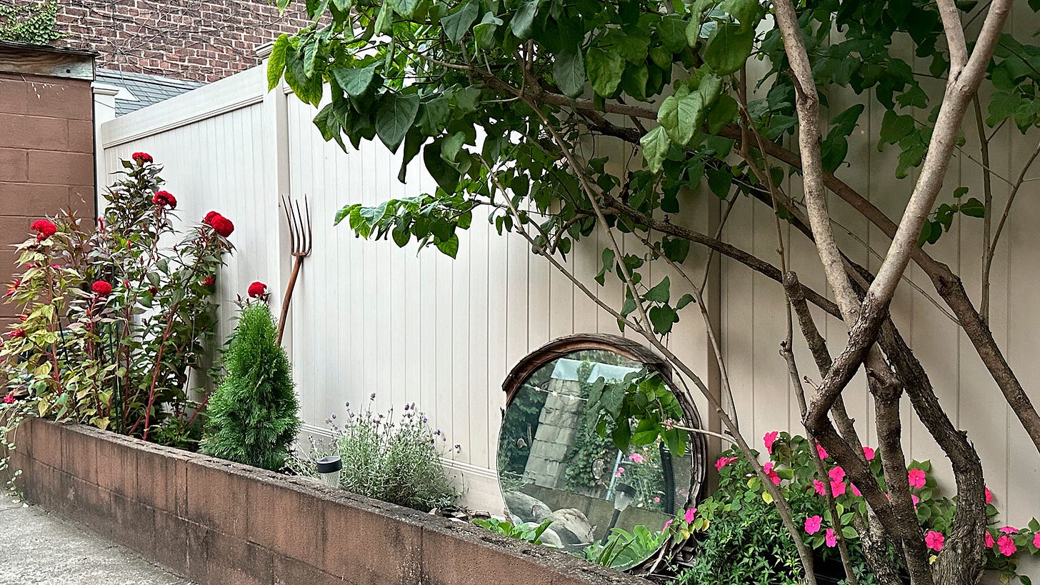 Garden bed along a fence wall with flowers in bloom