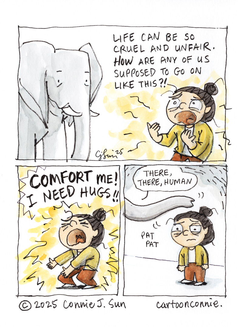 3-panel comic strip of a cartoon girl with a bun, talking to an elephant. She is very agitated, while the elephant is calm. In panel 1, she opines that "Life can be so unfair. How are any of us supposed to go on like this?!" Panel 2 shows the girl crying out with anguish: "COMFORT ME! I NEED HUGS!!" In the last panel, the elephant is off-frame except for its trunk, which reaches out, pats the girl on the head from a safe distance, and says "There, there, human." Titled "Comfort me," ink and watercolor on paper, original artwork by Connie Sun, cartoonconnie, 2025.