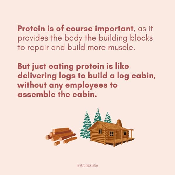 protein muscle