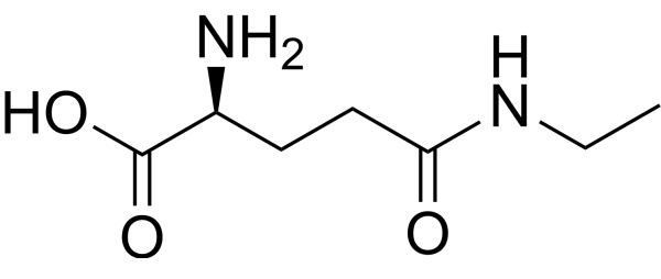 L-Theanine (L-Glutamic Acid γ-ethyl amide) | Neuroprotective Agent | MedChemExpress L-Theanine (L-Glutamic Acid γ-ethyl amide) | Neuroprotective Agent | MedChemExpress