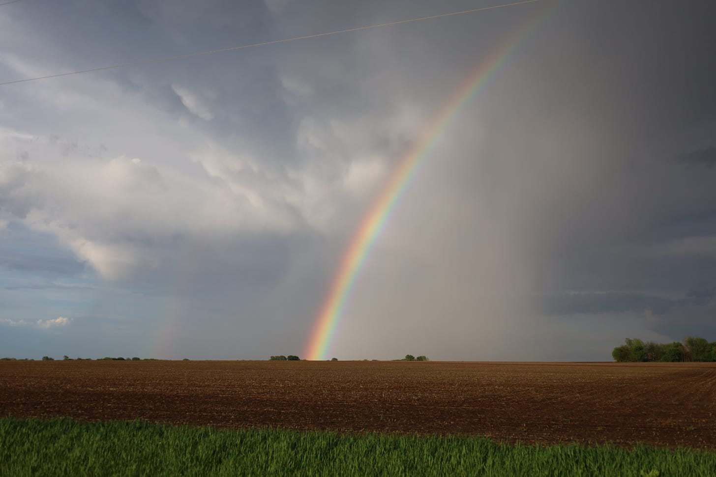 A rainbow!