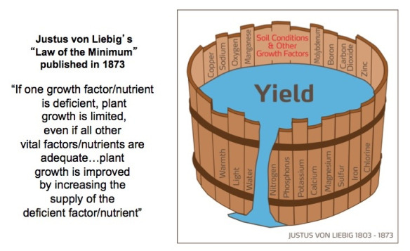 Liebig's Law of Minimums – Earthwise Agriculture