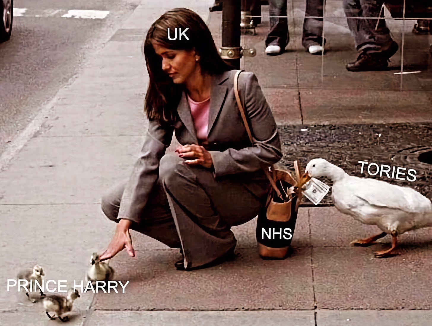 The lady is crouching with the label on her head 'UK'. She is stroking some ducklings with the label 'Prince Harry' while behind her a cheeky goose marked. Tories is stealing money from her handbag marked 'NHS'