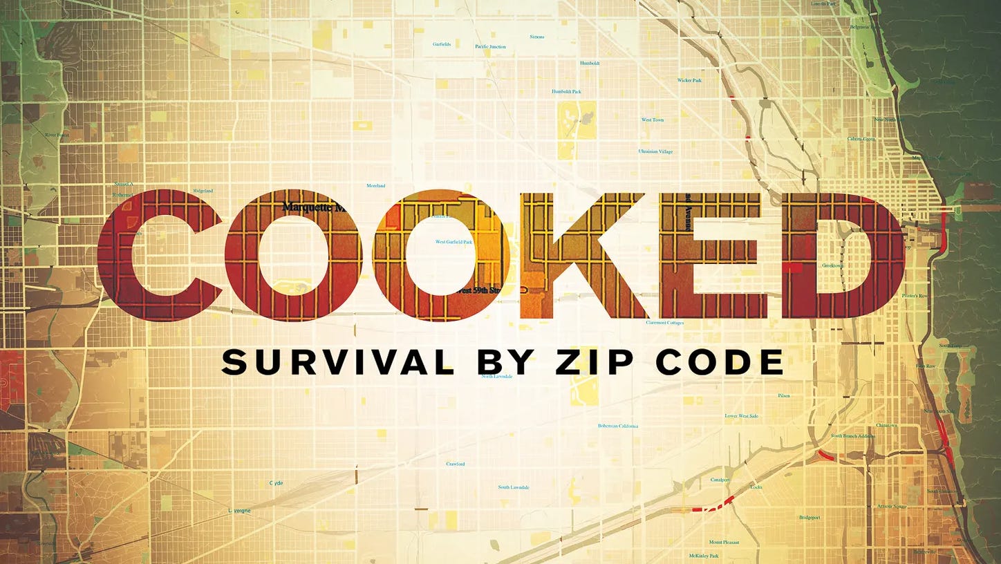 Poster for the film Cooked: Survival by Zip Code