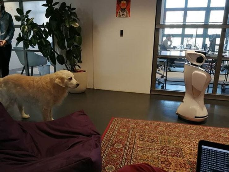 This happened in my coworking space. Dog meets robot 😍